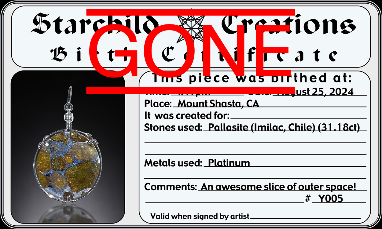 Imilac Pallasite small certificate photo